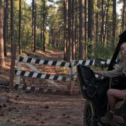 اطلاعاتی درباره فیلم Lookout 2025